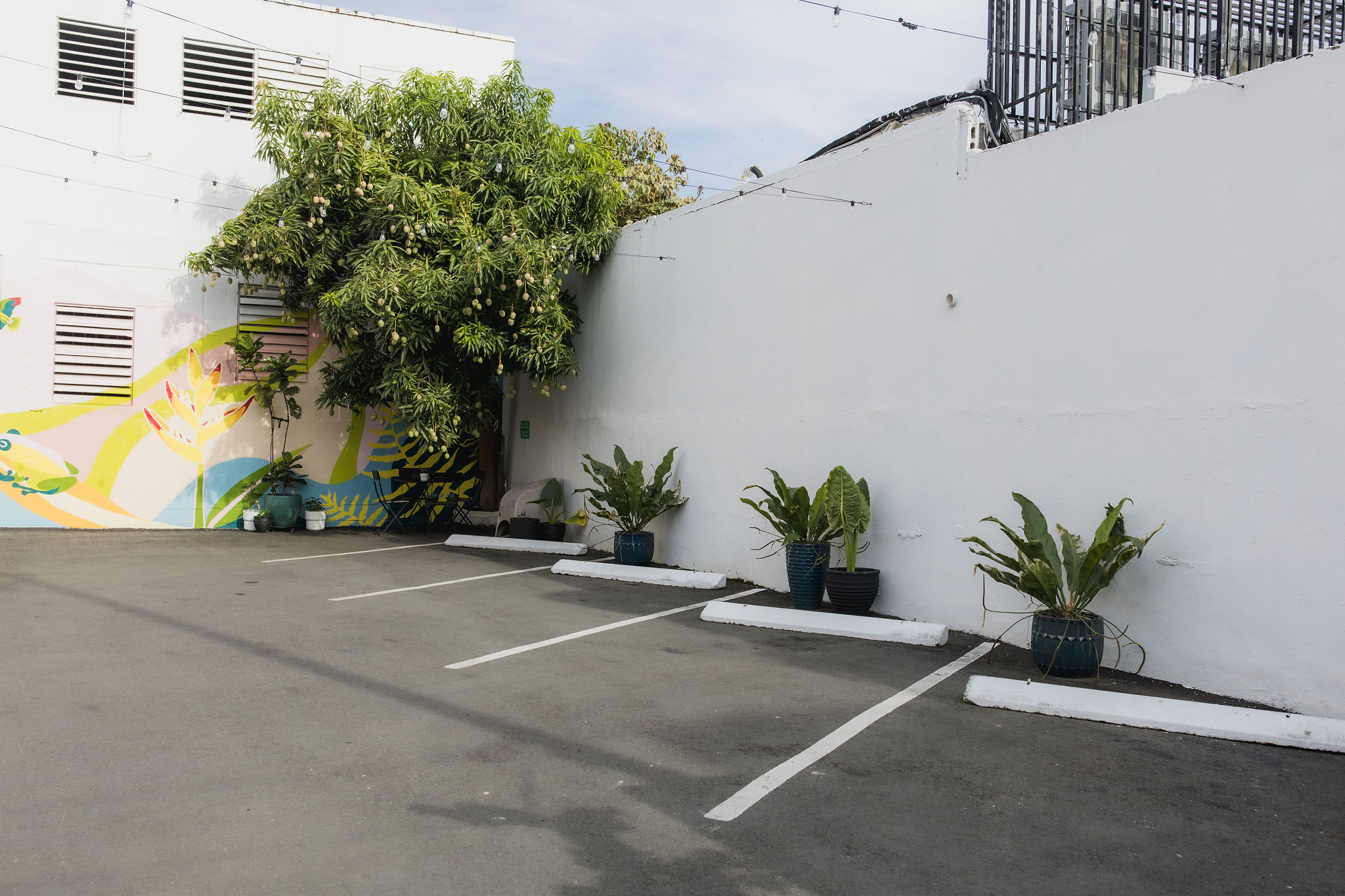 Hotel Luz photo by Jules Miranda