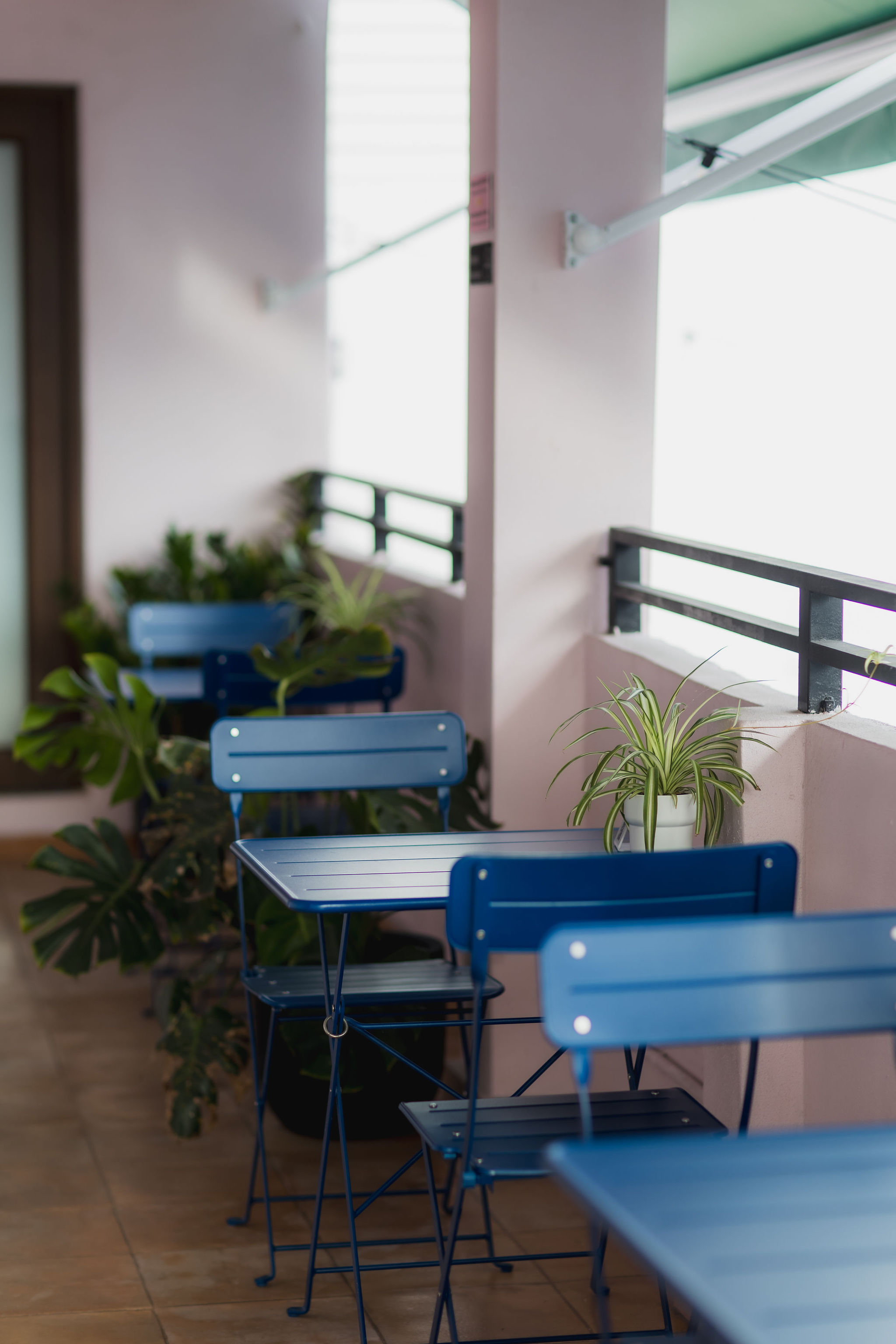 Hotel Luz photo by Jules Miranda