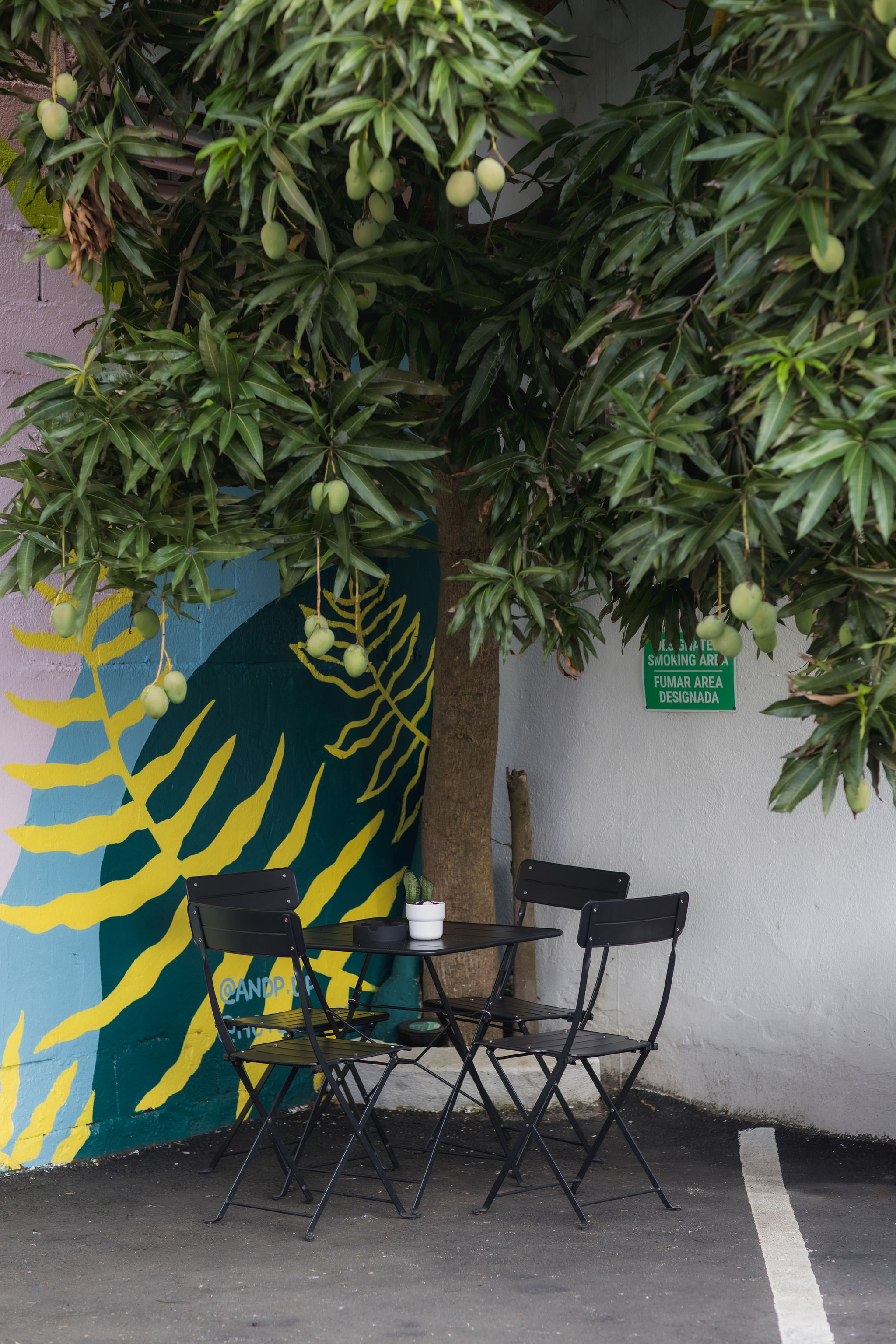 Hotel Luz photo by Jules Miranda